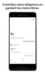 fonction-Google Assistant