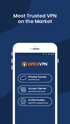 OpenVPN Connect
